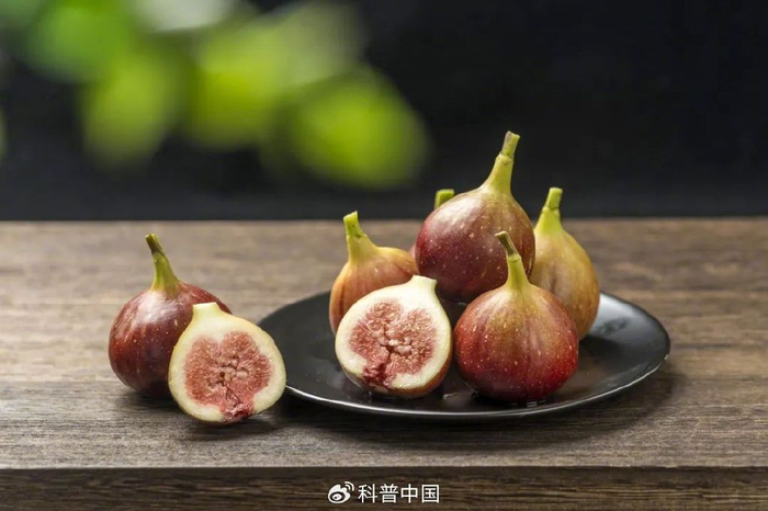 图库版权图片，转载使用可能引发版权纠纷