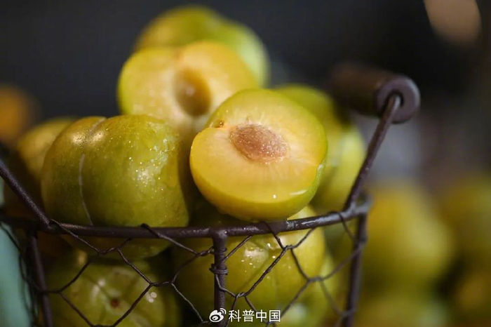 图库版权图片，转载使用可能引发版权纠纷