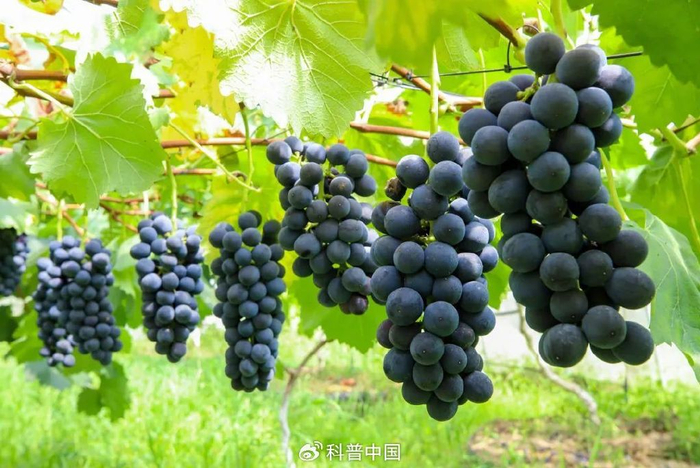 图库版权图片，转载使用可能引发版权纠纷