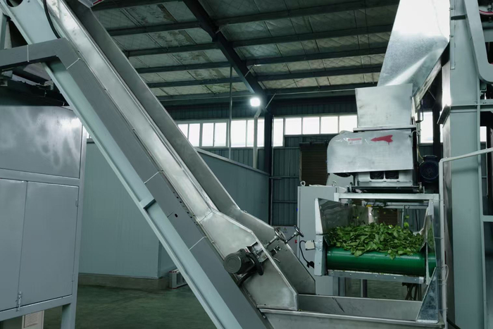 桑禾公司碾茶生产线