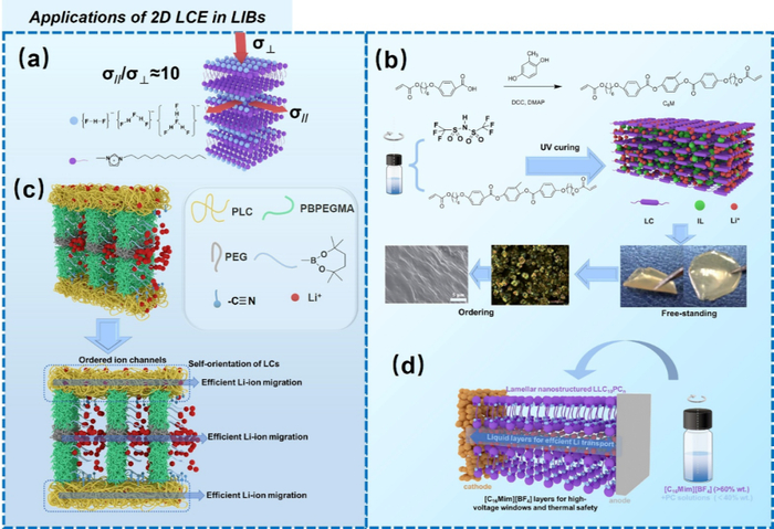 图6 二维液晶电解质在锂离子电池的机理图及实例。