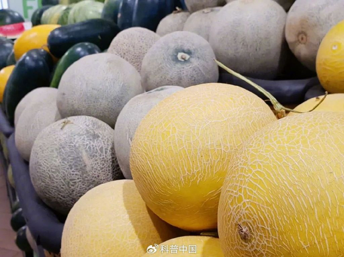 图库版权图片，转载使用可能引发版权纠纷