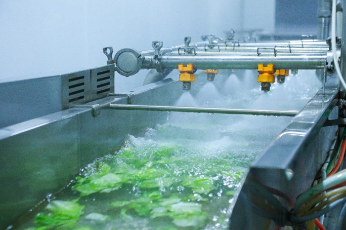 ▲ 沙拉轻食蔬菜进入工厂后需经过三次筛选、四重消毒，将异物、农残、大肠杆菌等全部洗净。姜小满|摄