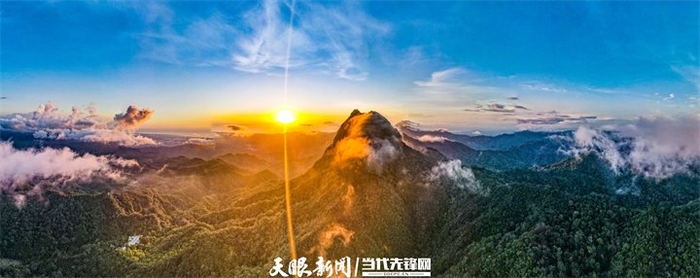 海南热带雨林公园尖峰岭。海南日报记者 陈元才 摄