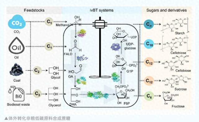 图源：中科院之声微信公众号