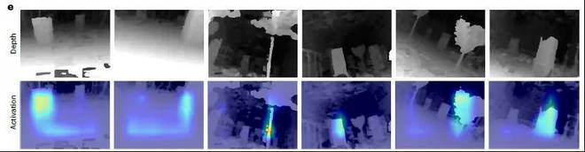 图 7 通过观察激活图，激活区域与最危险障碍强相关