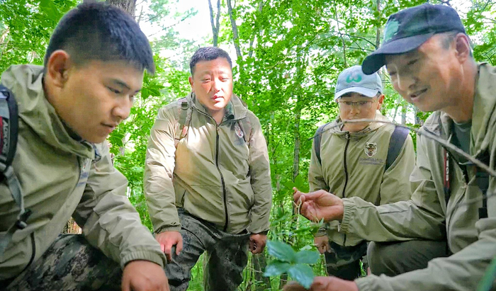 科研人员在山里调研植物生长情况