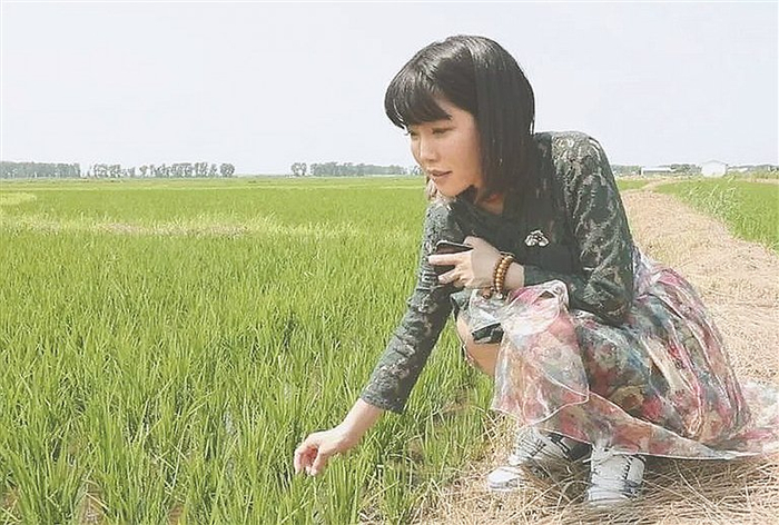     回到家乡的张燕查看水稻长势。伊飞帆 本报记者 李飞摄