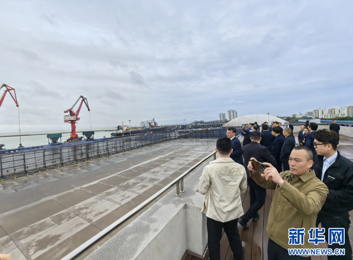 2025年3月7日，由湖南省政府驻海南办事处组织的湖南企业考察团在海南东方港考察。新华网发