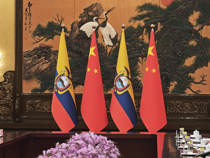 6月27日，摆放在北京人民大会堂的中厄两国国旗（总台中国之声记者潘毅  摄）