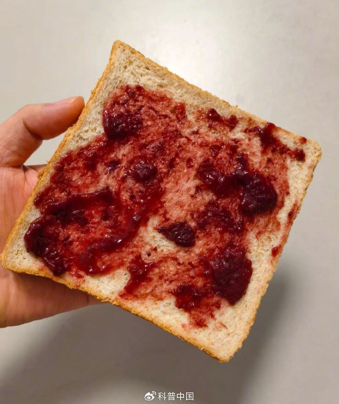 自制果酱涂抹在全麦面包上 图源：自己拍的