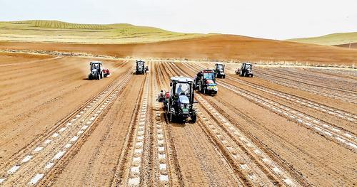     5月26日，沽源县白土窑乡藜麦种植基地开展机械化藜麦播种作业。（本报资料片） 沽源县融媒体中心供图