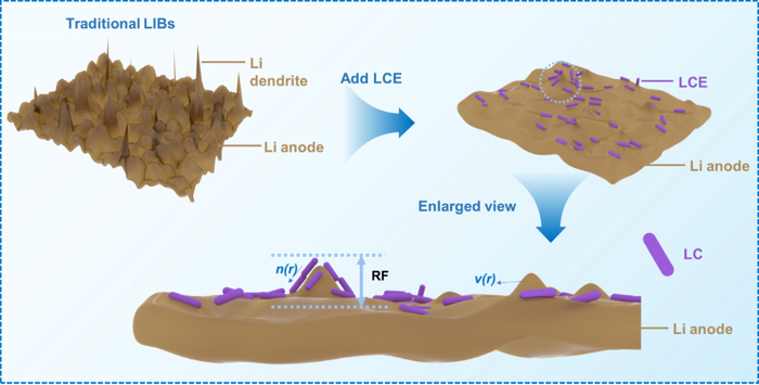 图14液晶电解质抑制锂枝晶生长机理图。
