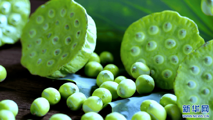 图为江西广昌白莲。新华网发