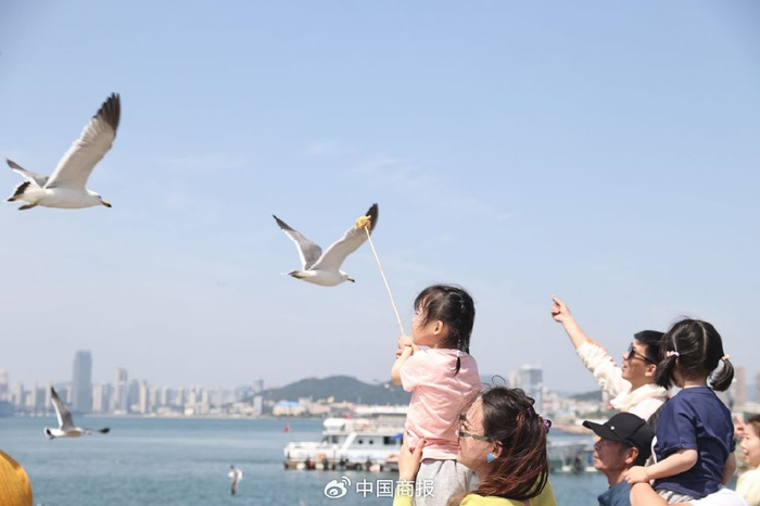 图为在辽宁大连星海广场，游客正在和海鸥互动。（图片由CNSPHOTO提供）