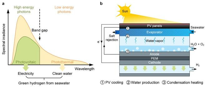 （来源：Energy & Environment Science）