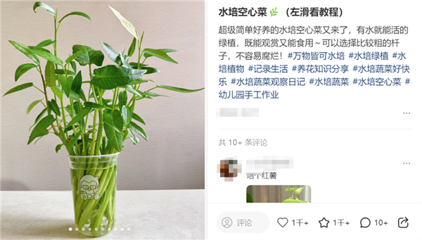 图源：某社交平台