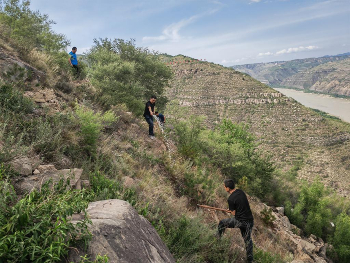 6月18日，“悬崖造林队”成员给黄河西岸的树苗浇水。新华社记者 孙正好 摄