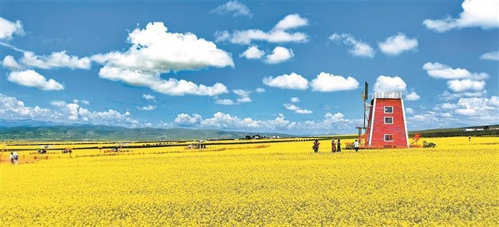 如油画般美丽的油菜花海。马国财 摄