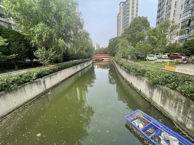经过“河道换水”措施，现在涵青河水体有所改善 新民晚报记者 夏韵 摄