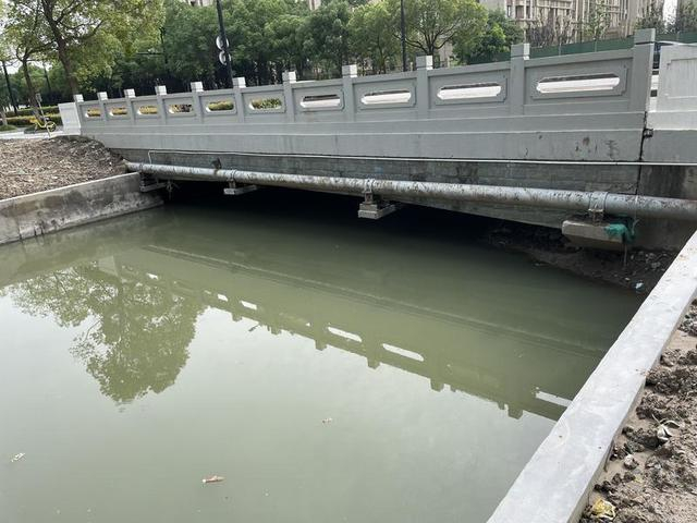 小区南陈路围墙外，还有一小段涵青河水体，同样浑浊不堪。 新民晚报记者 夏韵 摄