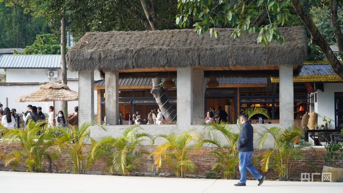 保山的精品咖啡庄园（央广网记者  魏文青  摄）