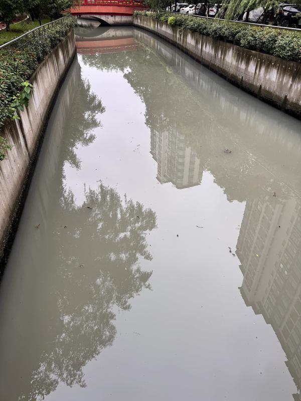 从5月底到6月底，涵青河水体浑浊，河面呈灰黑色 居民供图