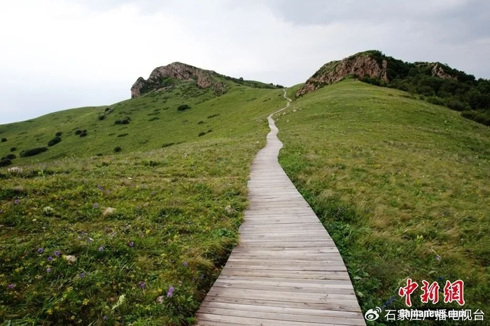 图为辽河源国家森林公园的登山步道。