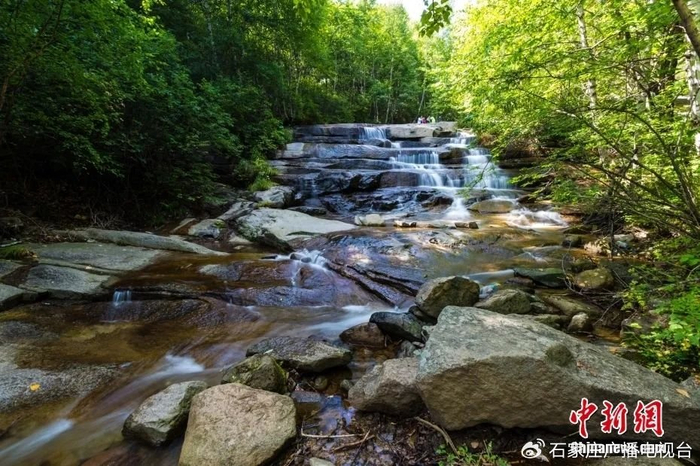 若你喜欢溯溪和徒步，也可选择雾灵山和辽河源国家森林公园，同样能感受夏日清凉。图为雾灵山的密林中从山上流下的溪水。