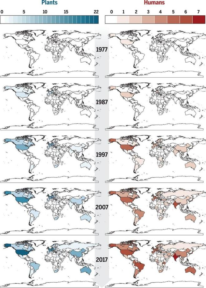 图2 据报道具有抗真菌耐药性的真菌种类。