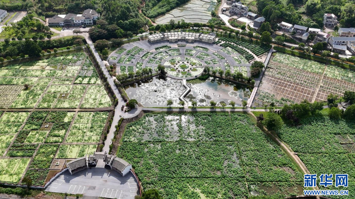 图为江西广昌县莲花科技博览园。新华网发 徐维栋 摄