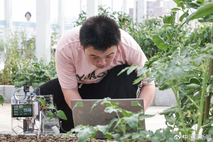 5月7日，浙江金华职业技术大学的一名学生在测试微型智慧农业控制系统 图源：新华社