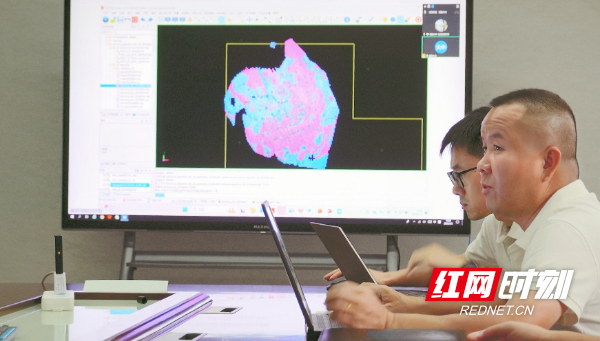 湖南省地质院与湖南大中赫锂矿有限责任公司双方项目人员在分析三维地质模型。