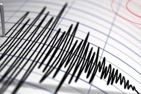 印度德里地区发生4.5级地震 多地震感强烈