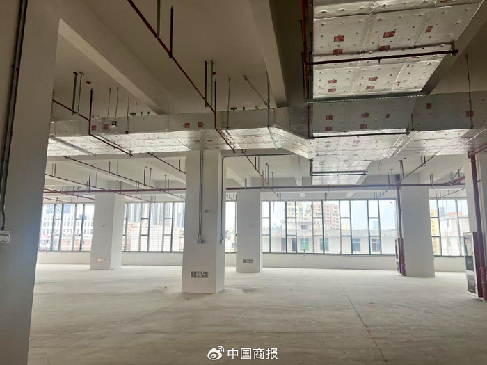 大跨度、高荷载设计满足不同类型企业定制化需求。
