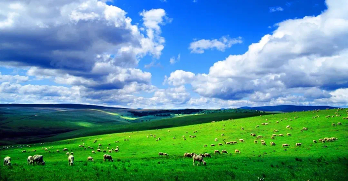 　赤峰市境内草原。（资料图）