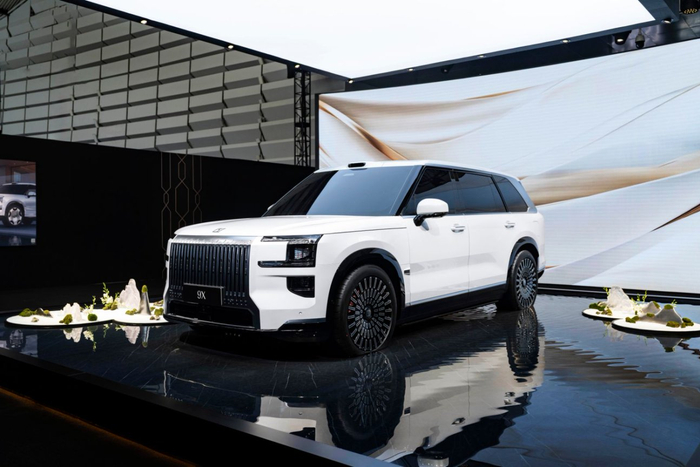                                              图为极氪9X   受访者供图