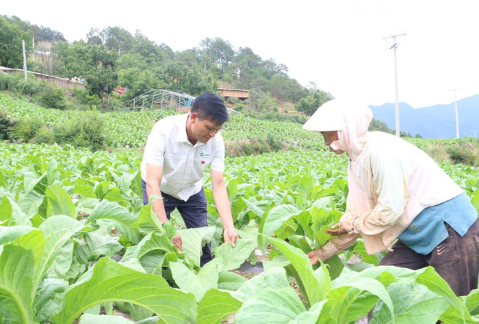 党员李杰田间指导病虫害防治