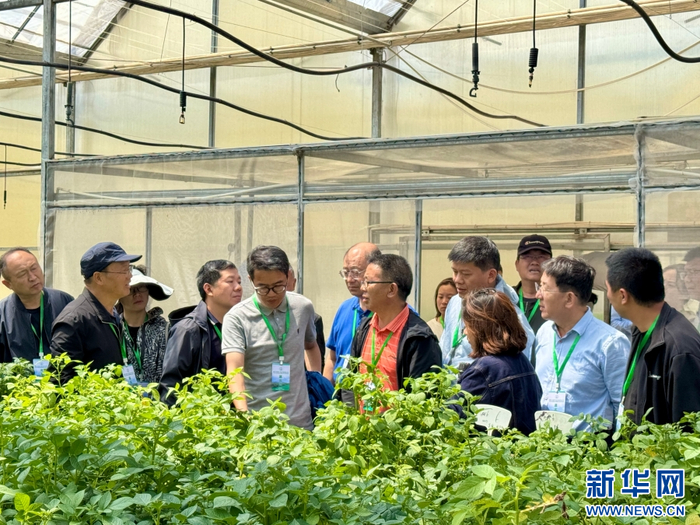 与会人员在丽江市农业科学研究所团山科技创新基地考察（7月9日摄）。供图