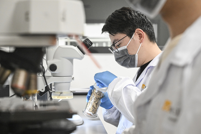 科研人员在进行实验