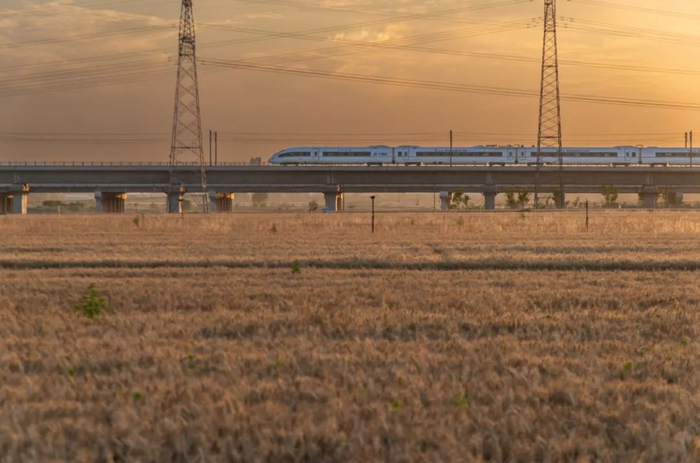 ▲高铁奔驰在邯郸的金色麦田之上。图片来源：视觉中国