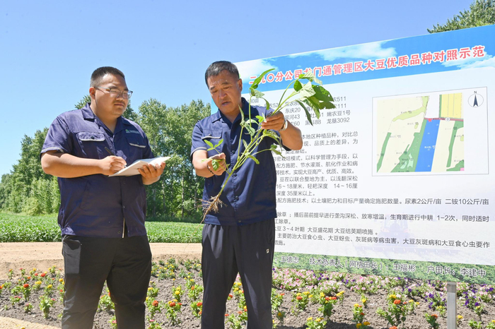 不同品种对照分析