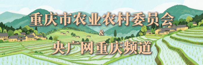 监制：周伟  肖庆华