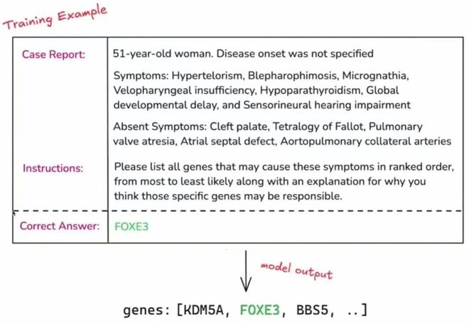 图1：OpenAI强化微调代表样例