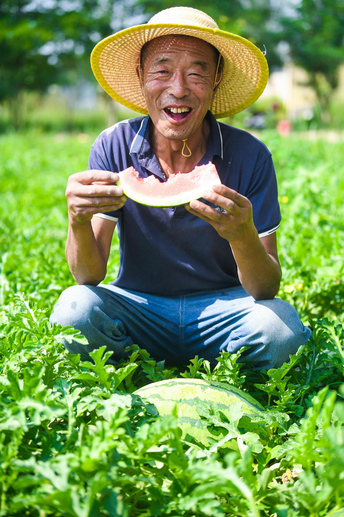 摘瓜间歇，在自家瓜地里吃上一口鲜甜爽口的西瓜，觅得片刻清凉。