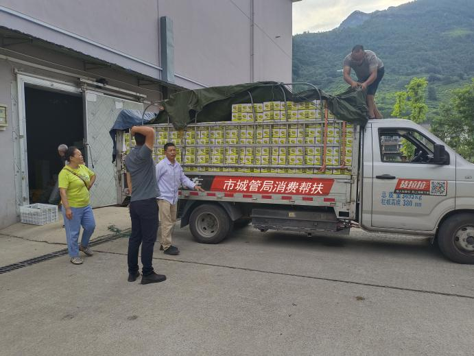 开展消费帮扶，销售三建镇李子（央广网发  受访者供图）