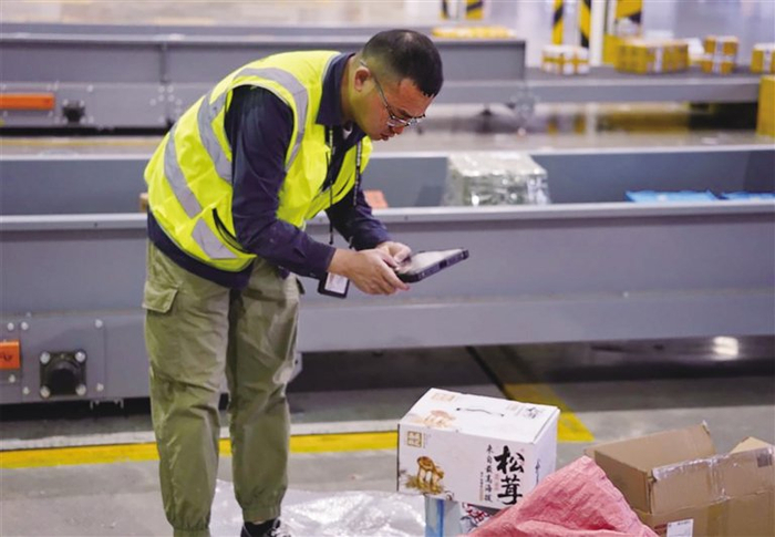 保障松茸运输现场。记者　张雪芳　摄