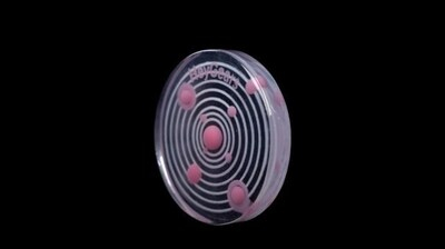 多材料一体打印成品