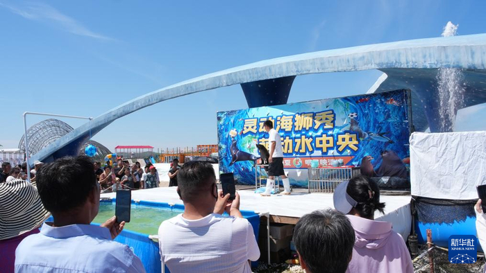 　　游客在明星湖旅游度假区观看海狮表演。新华社记者 恩浩 摄