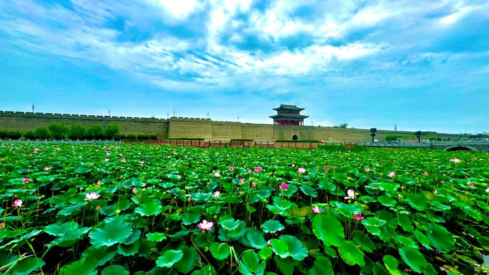 ▲大名府明清城墙